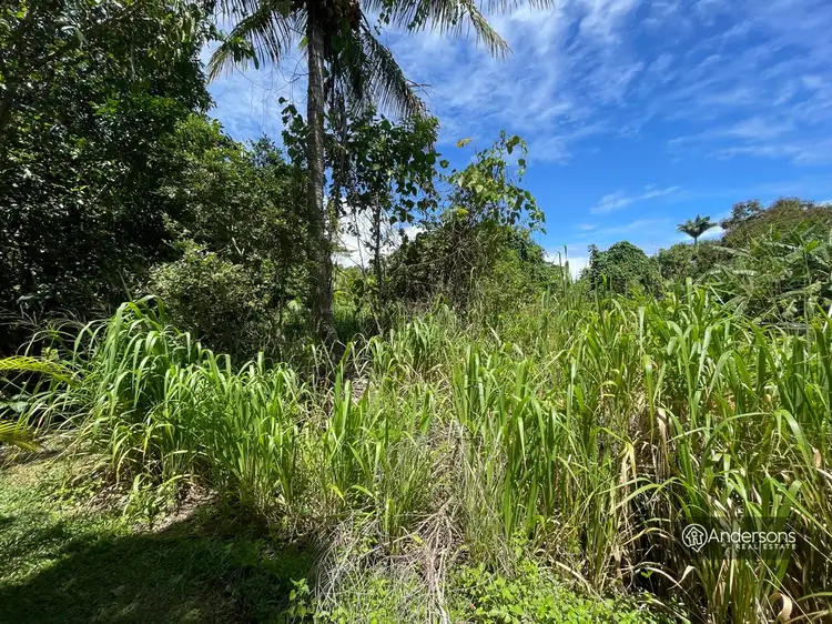 Fifth view of Homely land listing, 22 Mor-Gan-O Street, Bingil Bay QLD 4852