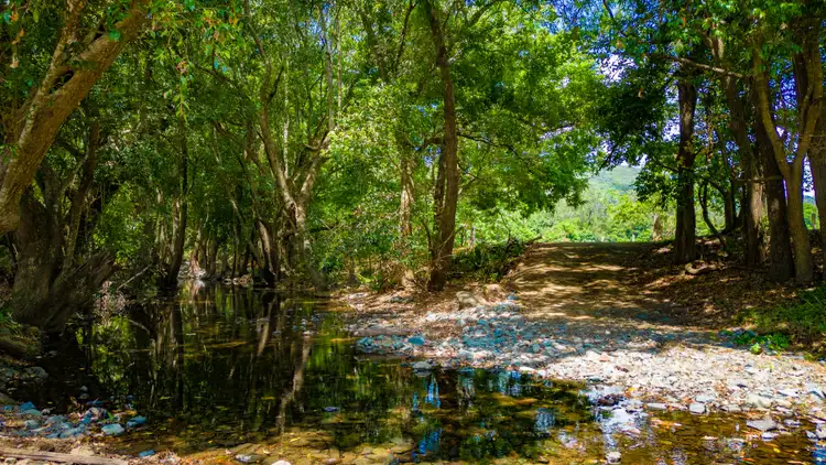 Second view of Homely rural property listing, 101 Aherns Road, Conondale QLD 4552