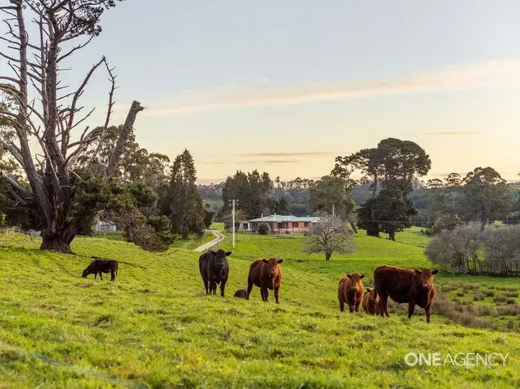 139 Calder Road, Wynyard TAS 7325