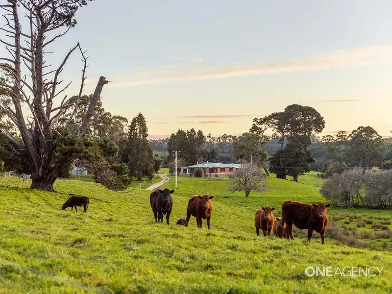 Main view of Homely house listing, 139 Calder Road, Wynyard TAS 7325