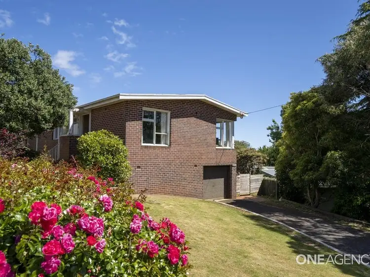 Main view of Homely house listing, 3 Chalk Avenue, Park Grove TAS 7320