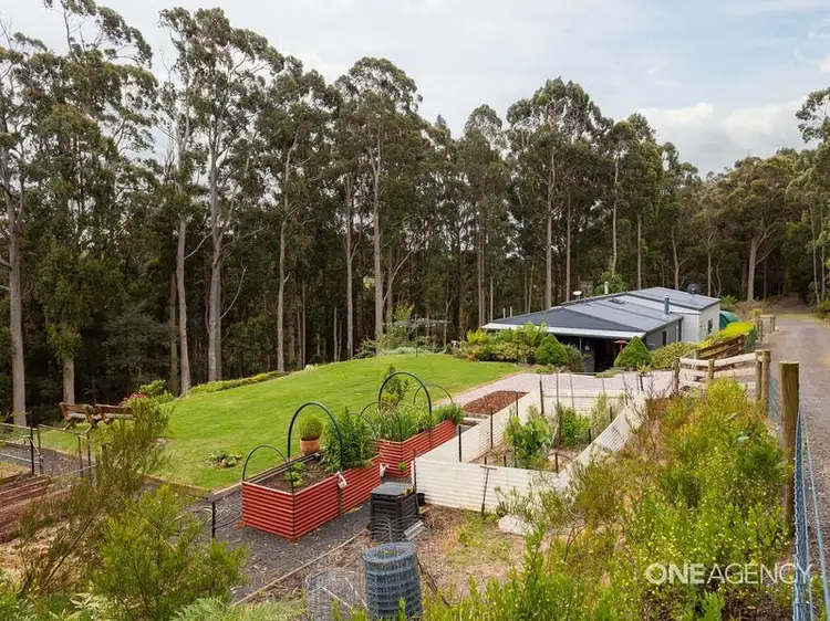 38 Crawford Road, Penguin TAS 7316