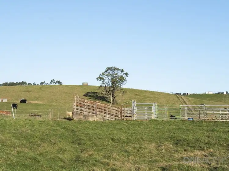 Fifth view of Homely house listing, 302 Upper Stowport Road, Stowport TAS 7321