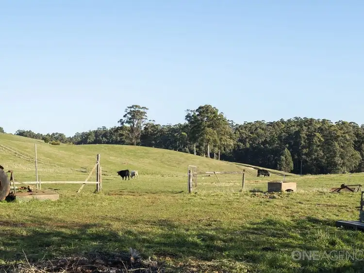 Sixth view of Homely house listing, 302 Upper Stowport Road, Stowport TAS 7321