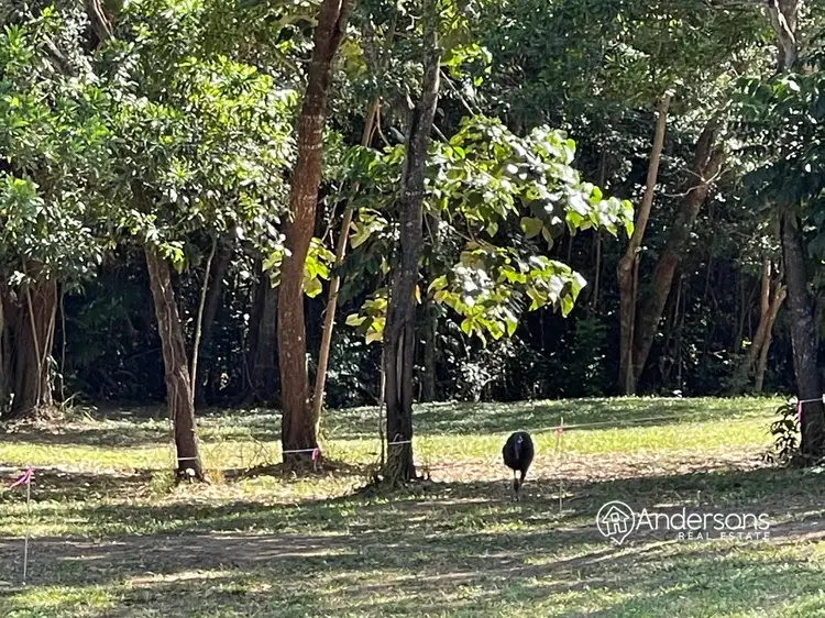 Second view of Homely land listing, Lot 8 Off Dunkalli Cr, Wongaling Beach QLD 4852