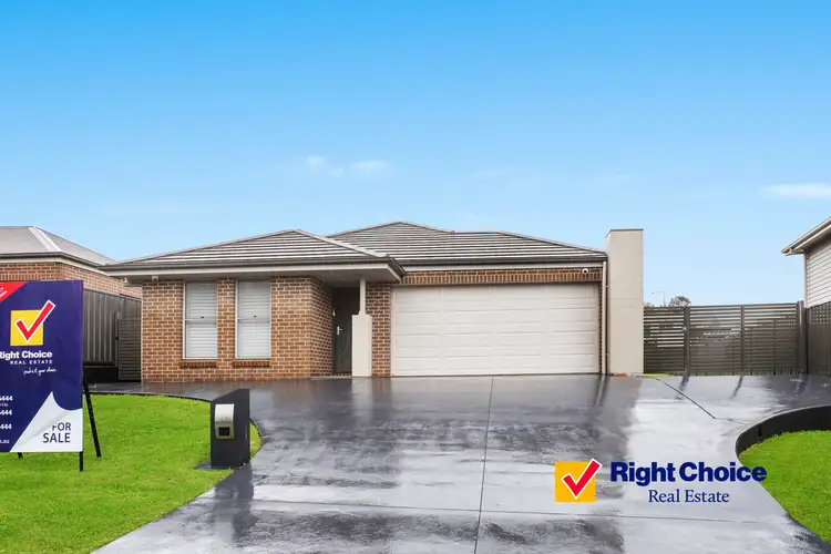 Main view of Homely house listing, 25 Dillon Road, Flinders NSW 2529