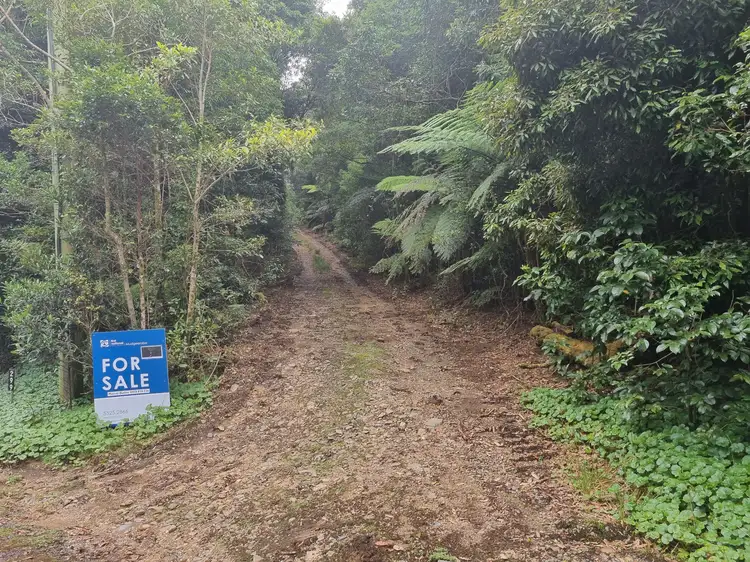 299 Repeater Station Road, Springbrook QLD 4213