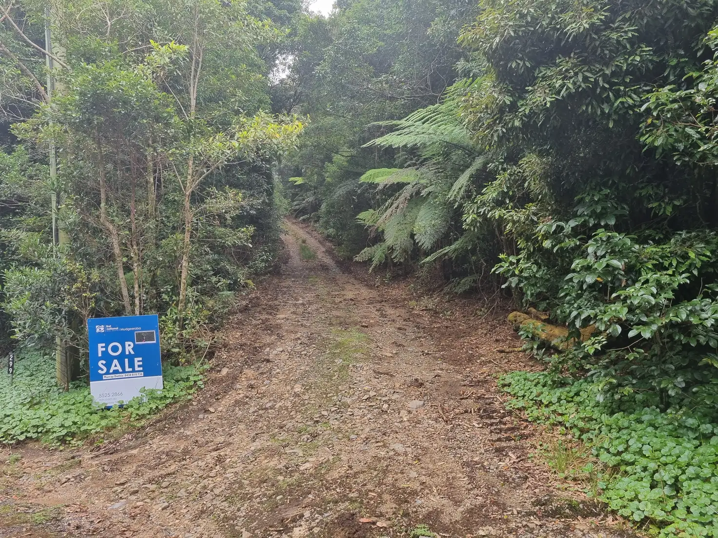 Main view of Homely land listing, 299 Repeater Station Road, Springbrook QLD 4213