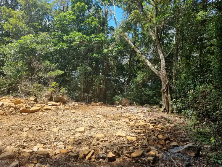 Second view of Homely land listing, 299 Repeater Station Road, Springbrook QLD 4213