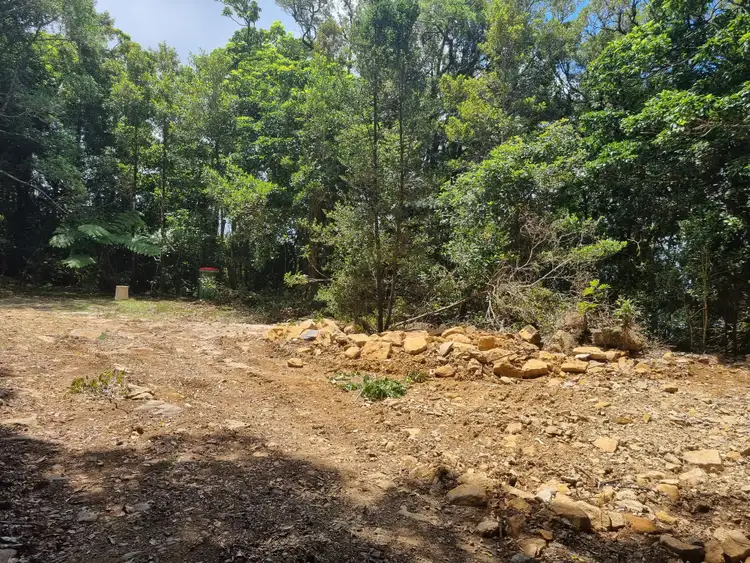 Third view of Homely land listing, 299 Repeater Station Road, Springbrook QLD 4213