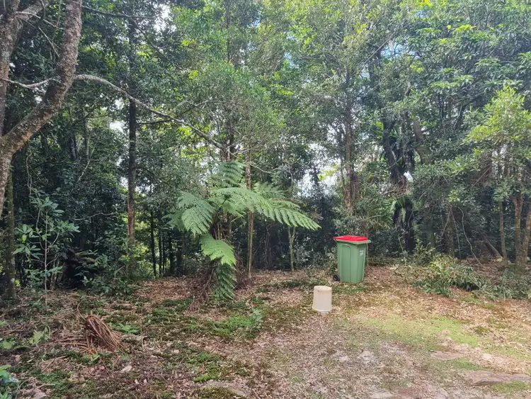 Fourth view of Homely land listing, 299 Repeater Station Road, Springbrook QLD 4213