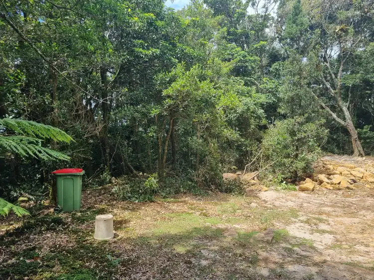 Fifth view of Homely land listing, 299 Repeater Station Road, Springbrook QLD 4213