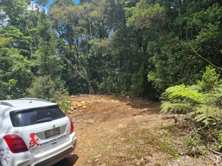 Seventh view of Homely land listing, 299 Repeater Station Road, Springbrook QLD 4213