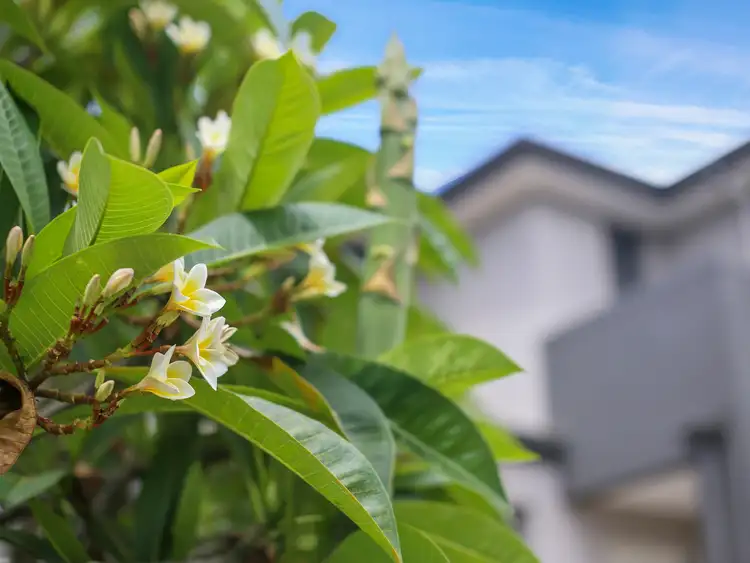Third view of Homely house listing, 34 Hillcroft Place, Belmont QLD 4153