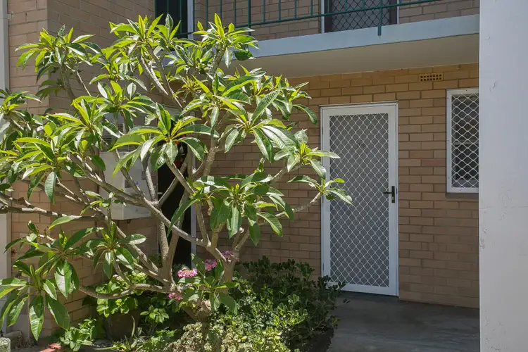 Third view of Homely unit listing, 29/188 North Beach Drive, Tuart Hill WA 6060