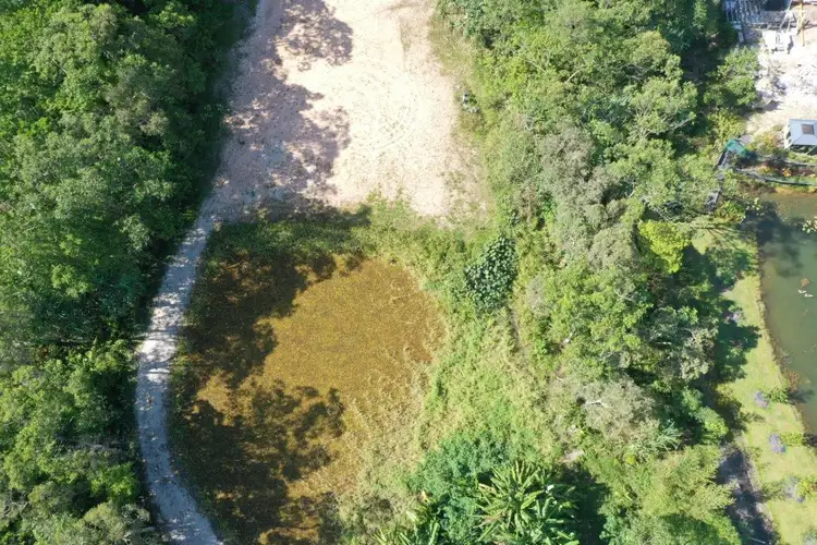 Seventh view of Homely land listing, 746 East Feluga Road, East Feluga QLD 4854