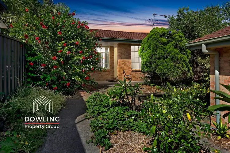 3/17a Elizabeth Street