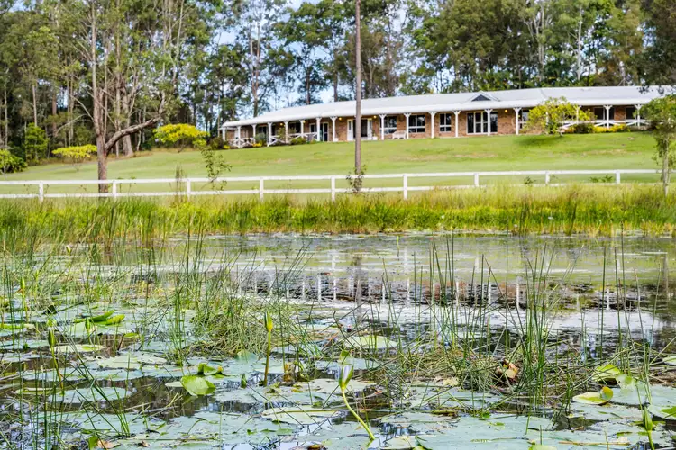 Third view of Homely rural property listing, 962 Caboolture River Road, Moorina QLD 4506