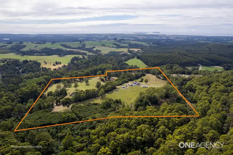 Second view of Homely house listing, 404 Tierneys Road, Alcomie TAS 7330