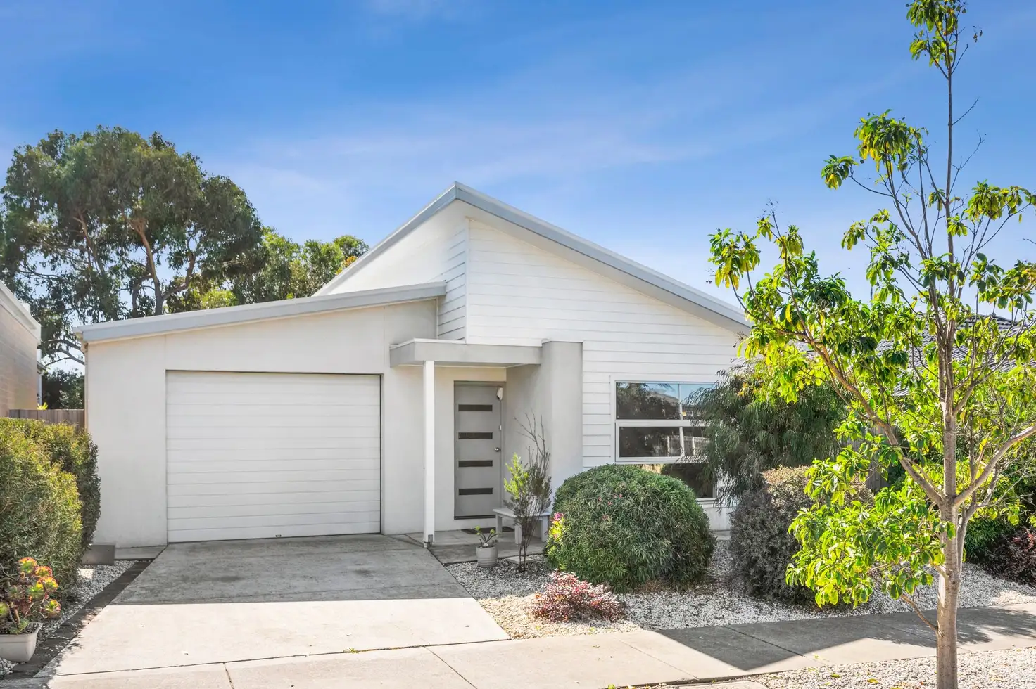 Main view of Homely house listing, 19 Cranberry Way, Torquay VIC 3228