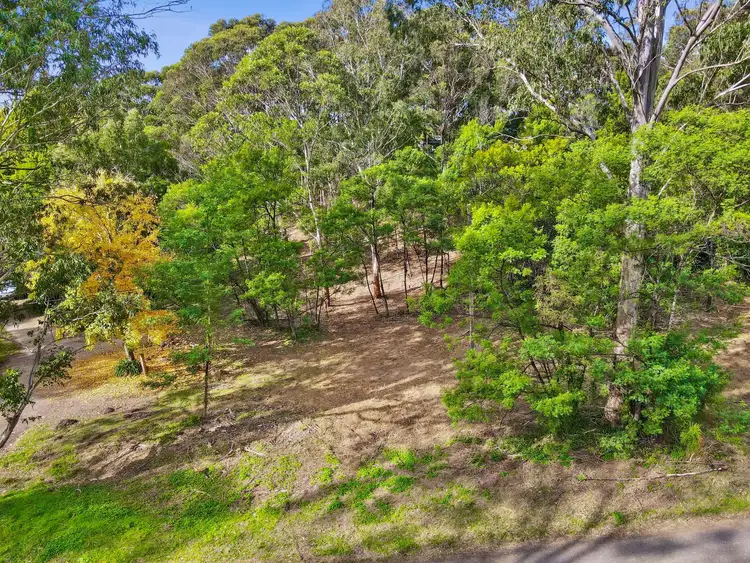 Sixth view of Homely land listing, 18 Reid Street, Nelligen NSW 2536