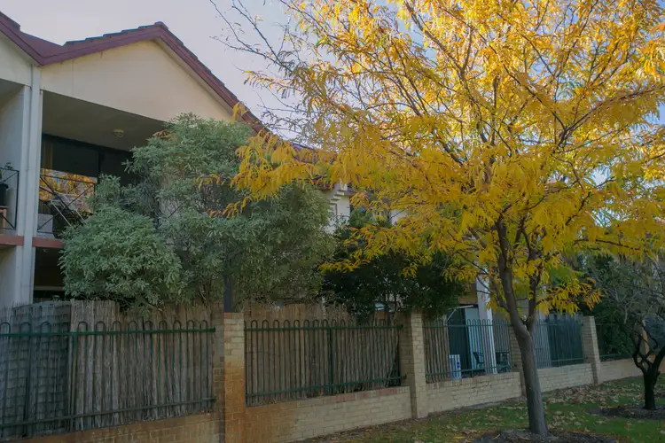 24/20 Gochean Avenue, Bentley WA 6102