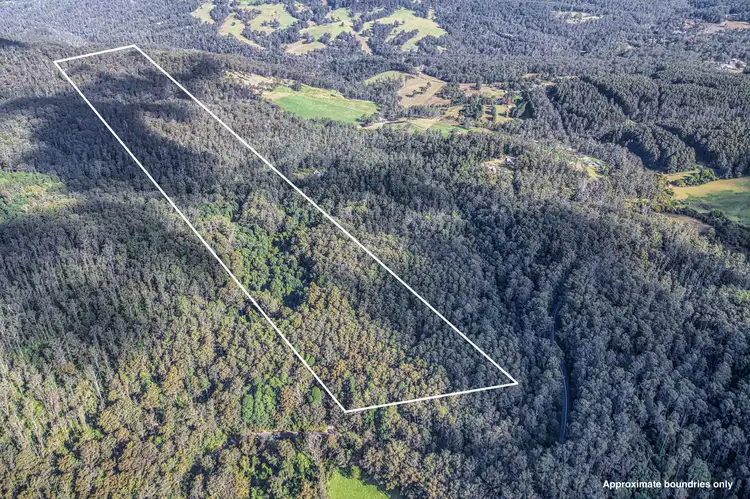 Main view of Homely land listing, 7895 Armidale Road, Dundurrabin NSW 2453