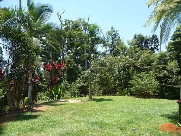 Fourth view of Homely house listing, 154 Lindsay Road, Carmoo QLD 4852