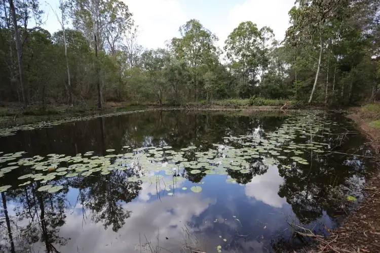 Seventh view of Homely rural property listing, 15 Van Doren Road, Southside QLD 4570