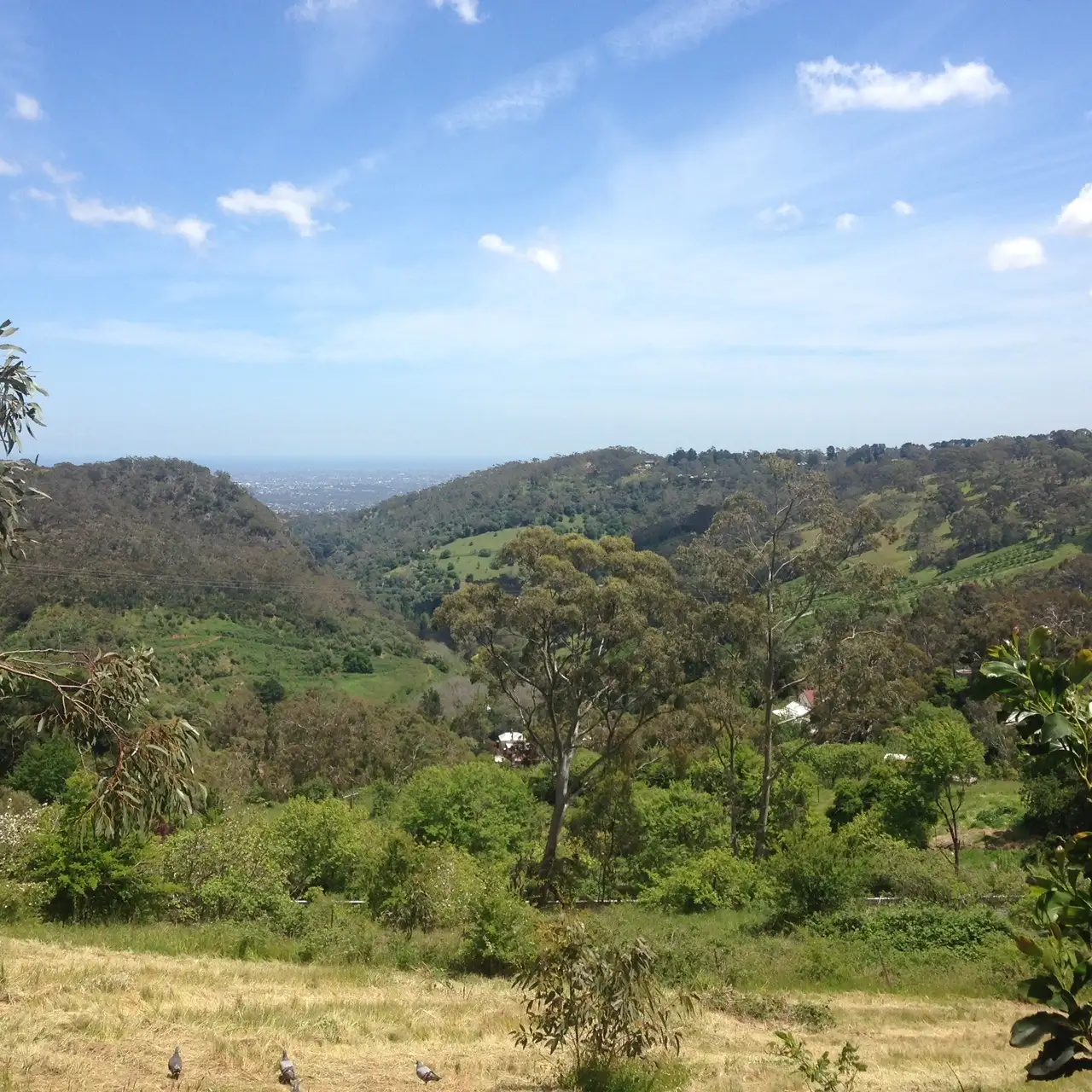 Main view of Homely land listing, Address available on request