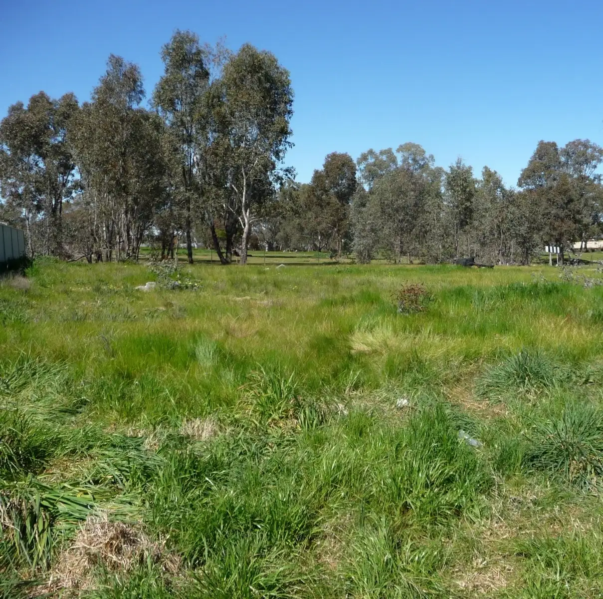Main view of Homely land listing, 11 Ann Drive, Jindera NSW 2642