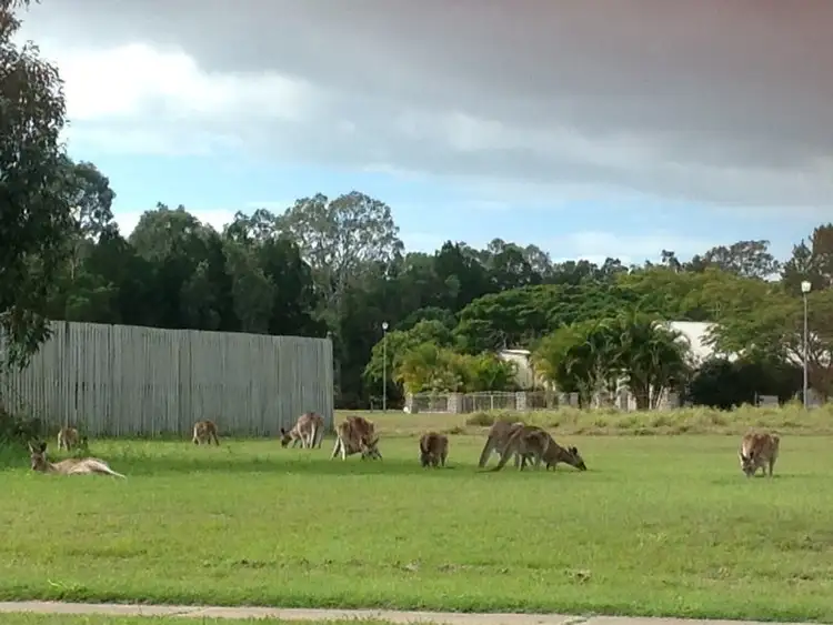 Seventh view of Homely land listing, 48 Desmond Drive, Toogoom QLD 4655