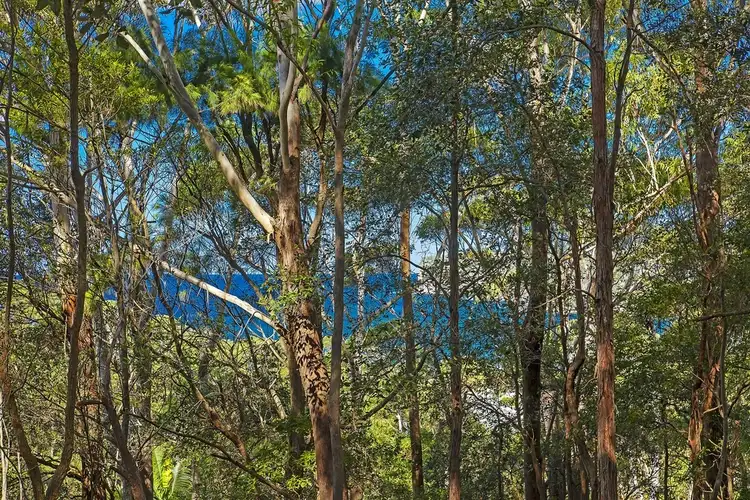 Third view of Homely land listing, 4 Surf Rider Avenue, North Avoca NSW 2260