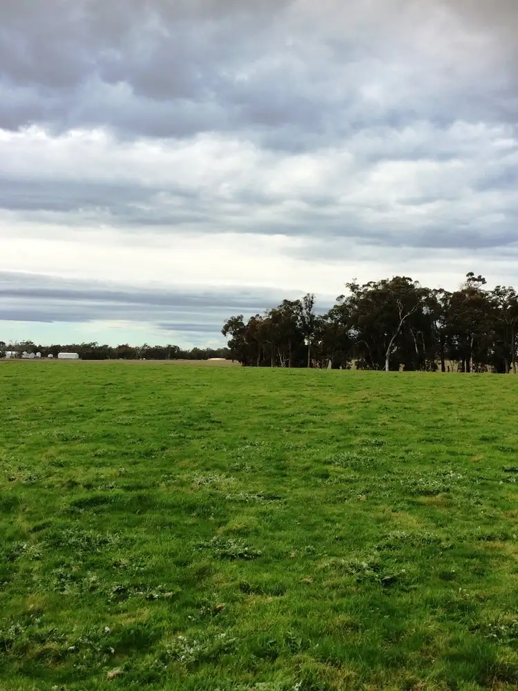 Fifth view of Homely rural property listing, 344 Lake Katherine Road, Perillup WA 6324
