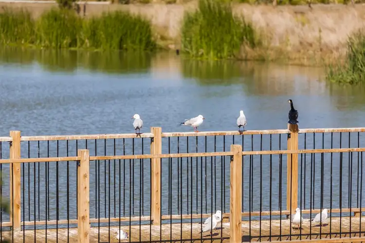 Third view of Homely townhouse listing, 2/46-48 Evergreen Circuit, Ocean Grove VIC 3226