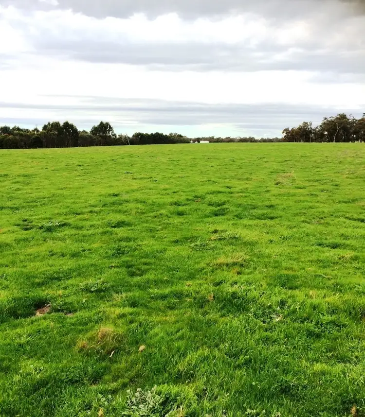 Third view of Homely rural property listing, 344 Lake Katherine Road, Perillup WA 6324