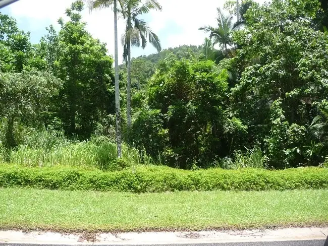 Second view of Homely house listing, 4 Plumb Street, Bingil Bay QLD 4852