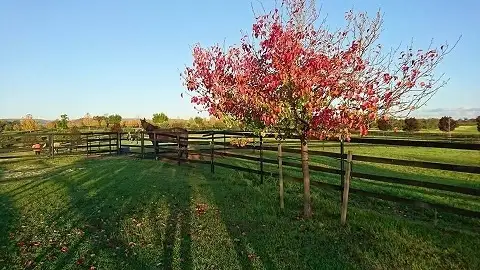 Second view of Homely land listing, 20 Cruse Road, Belhus WA 6069