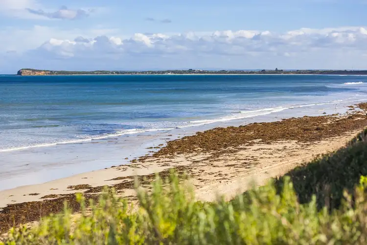 Third view of Homely house listing, 14 Draper Street, Ocean Grove VIC 3226