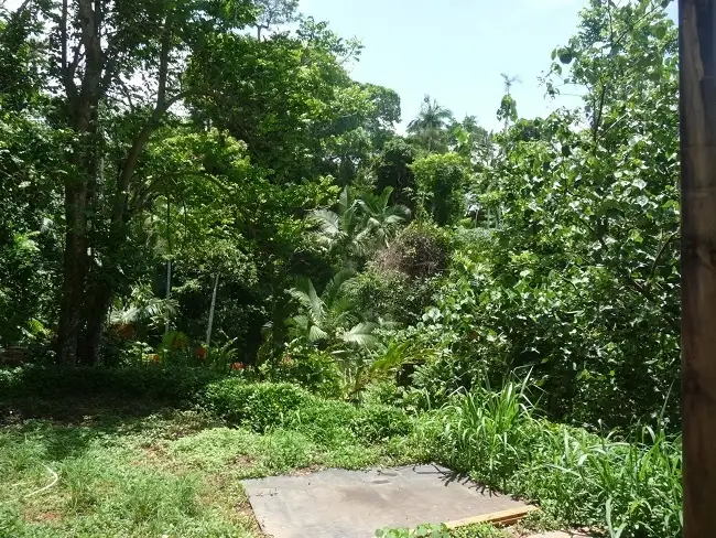 Fourth view of Homely house listing, 4 Plumb Street, Bingil Bay QLD 4852