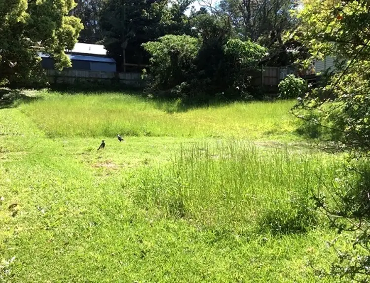 23 Griffith Street, Tamborine Mountain QLD 4272