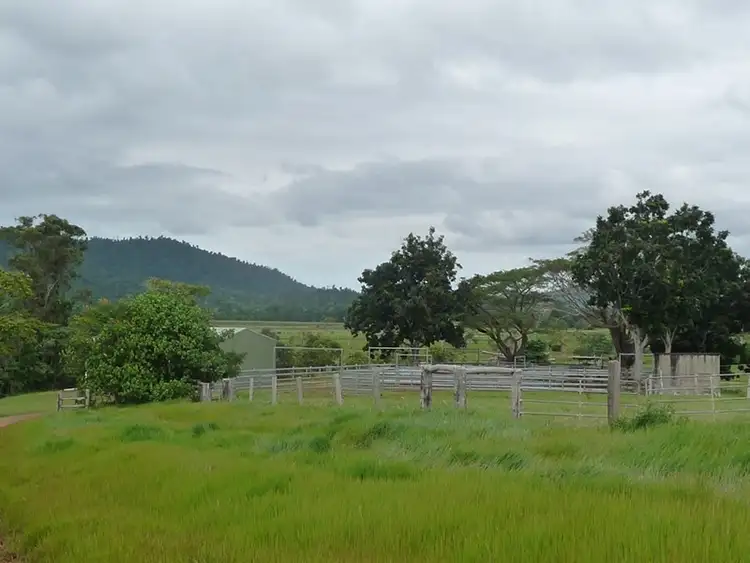 Fourth view of Homely house listing, 173 Dargin Road, Maria Creeks QLD 4855