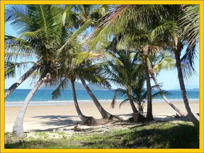 Lot 157 Shelly Court, Mission Beach QLD 4852