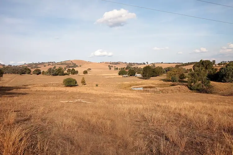 Third view of Homely rural property listing, 79 Buiks Road, Wagga Wagga NSW 2650