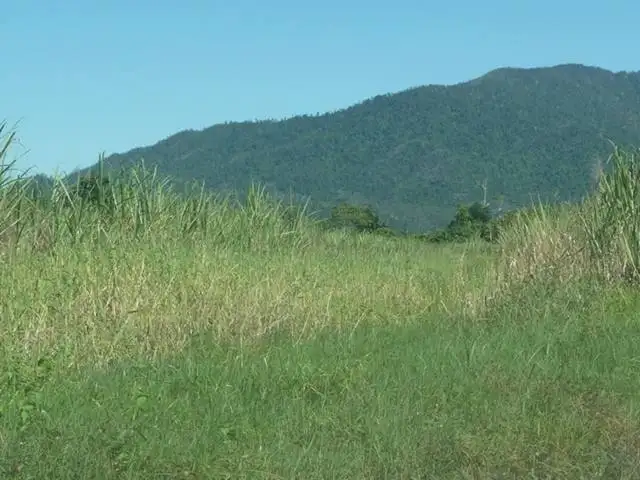 Third view of Homely land listing, 1 Old Telegraph Road, East Feluga QLD 4854