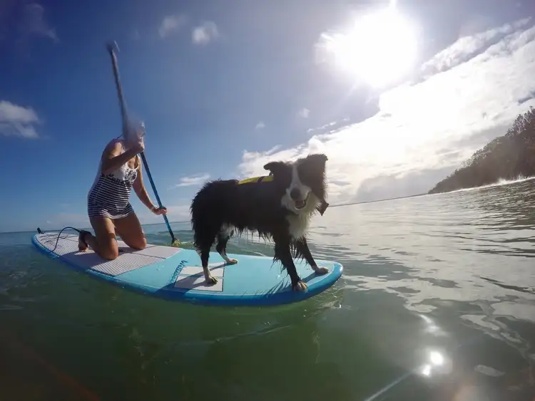 Sixth view of Homely house listing, 8 MEMORIAL ST, Toogoom QLD 4655