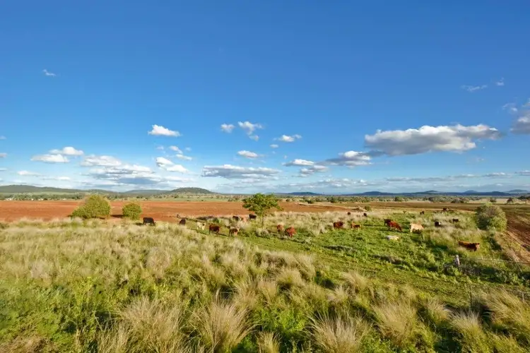 Sixth view of Homely rural property listing, 556 Goscomb Road, Gunnedah NSW 2380