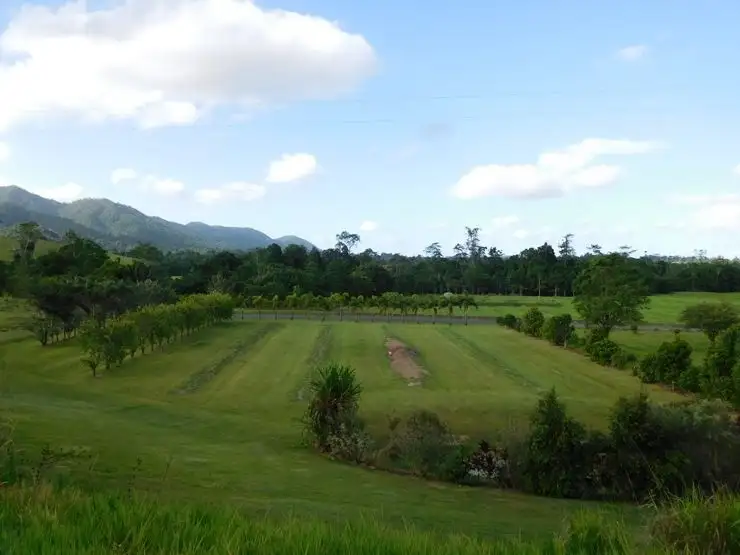 Sixth view of Homely house listing, 729 Mena Creek Road, Mena Creek QLD 4871