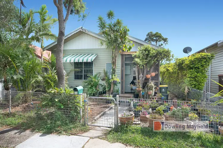 58 Braye Street, Mayfield NSW 2304