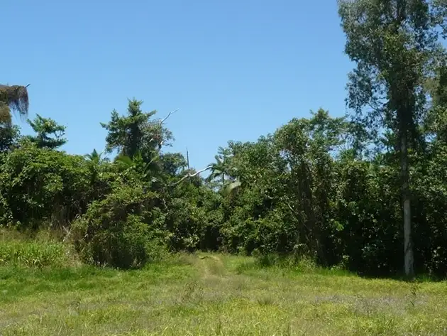 Sixth view of Homely land listing, 1827 Tully Mission Beach Road, Wongaling Beach QLD 4852